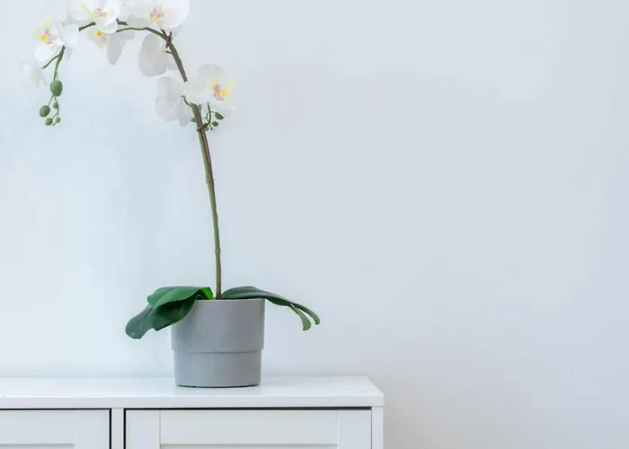 Industrial In Апартаменты Познань