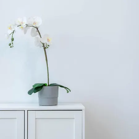 Industrial In 公寓 波兹南