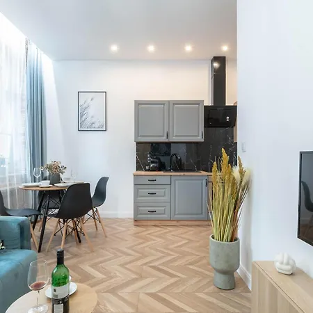 Industrial In 公寓 波兹南