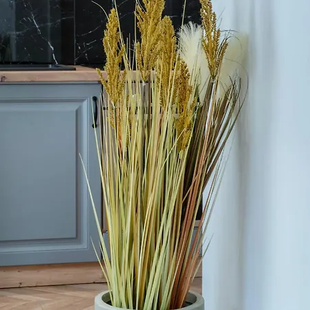 公寓 Industrial In *